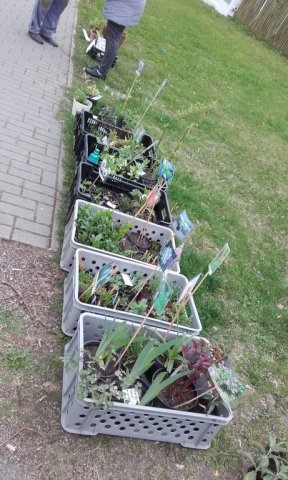 20170415_093747